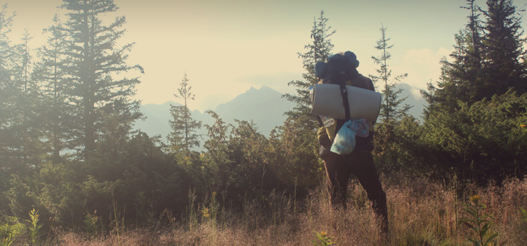 Heart Healthy Activities That Don’t Feel Like Exercise